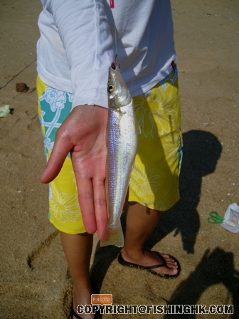 S7002089.JPG
