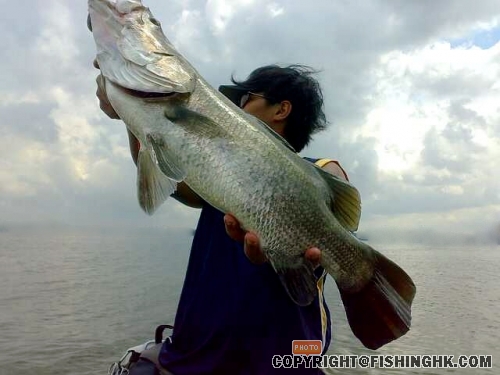 28052008306-small.jpg