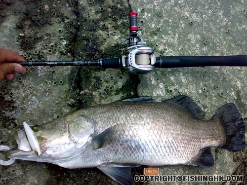 28052008305-small.jpg