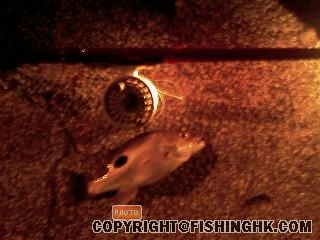 IMAG0057.jpg
