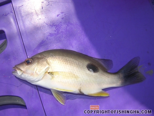 DSCN4836.JPG