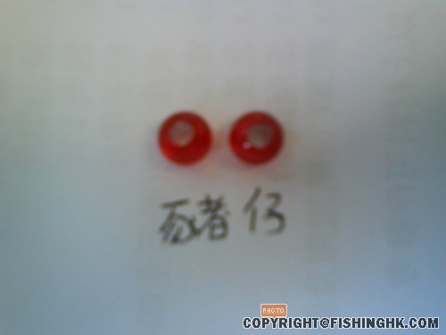 DSC00166.JPG