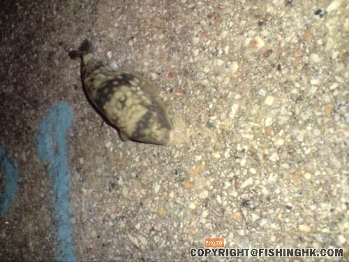 P170808_19.17 (1).jpg