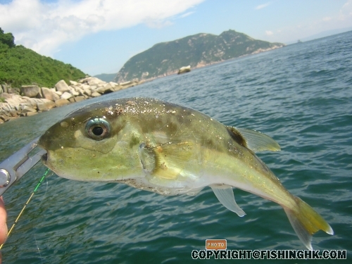 DSCN4845.JPG