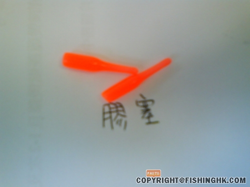 DSC00168.JPG
