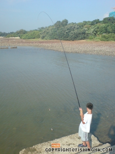 DSC05820.JPG