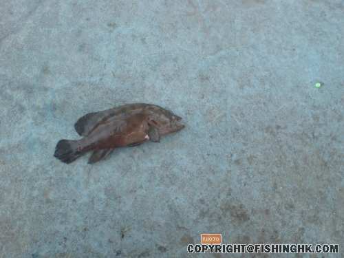 DSC05812.JPG