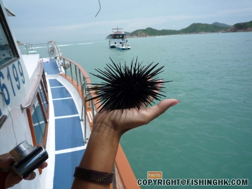 浮潛拾獲!!!!