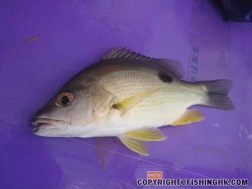 DSCN4872.JPG