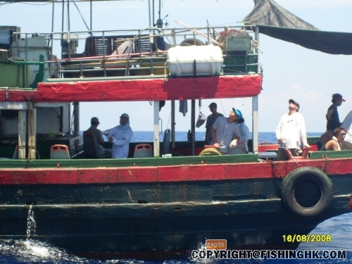 SL380458.JPG
