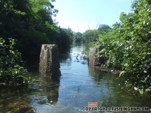 DSCF3320.JPG