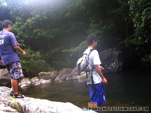 IMGP3929.JPG