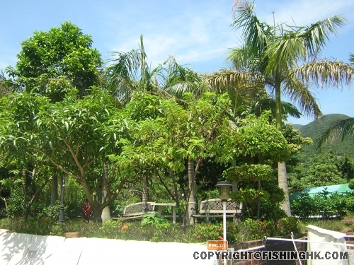 DSCN4969.JPG