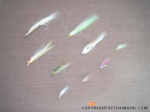 1_ minnows & charlies.JPG