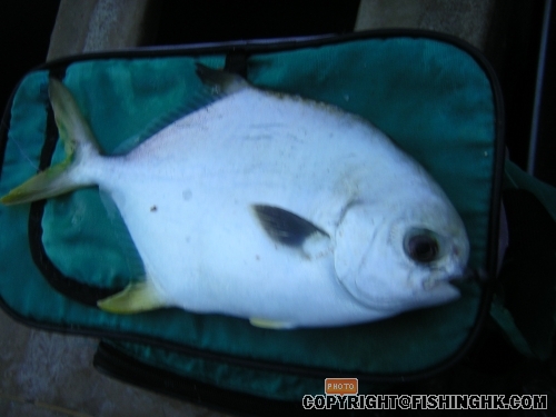 DSCN4977.JPG