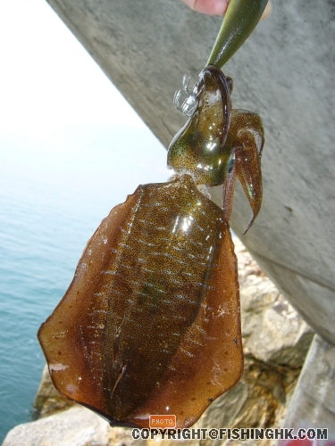 照片 1706.jpg