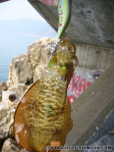 照片 1703.jpg