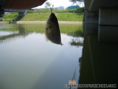 大量小非