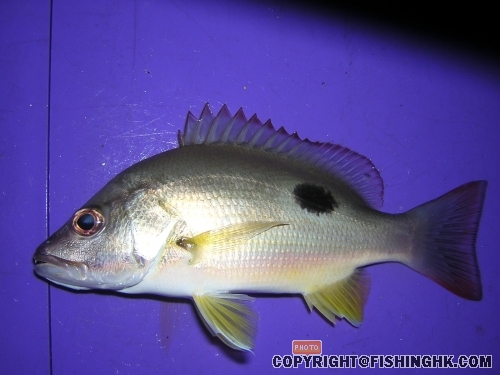 DSCN5095.JPG