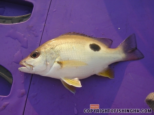 DSCN5088.JPG