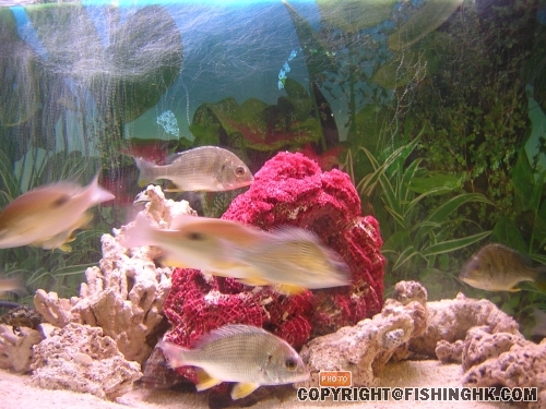 DSCN5109.JPG