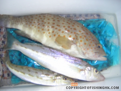 DSCN5118.JPG