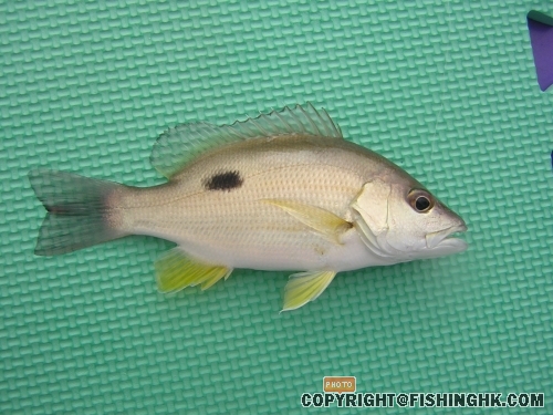 DSCN5111.JPG