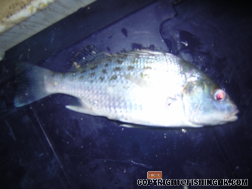 DSCN5125.JPG