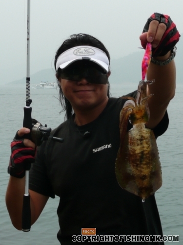 P1030582_resize.JPG