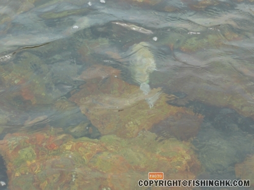P1030585_resize.JPG