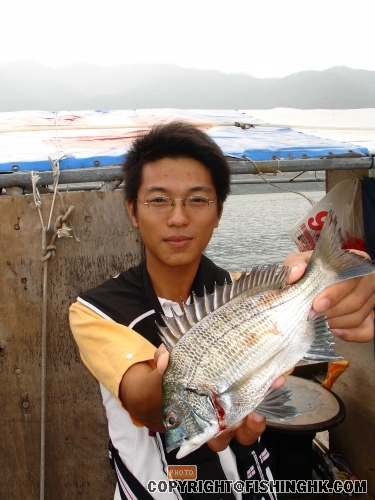 合格21cm黑沙,可惜入鉤出血