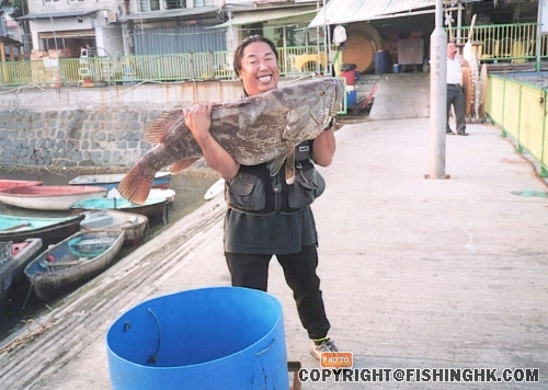 g-fish-1.jpg