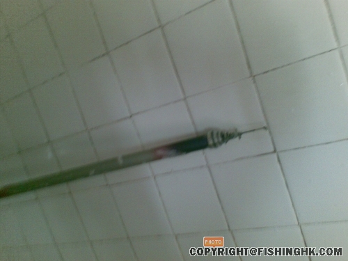 20081019067.jpg