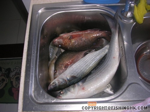 矶6.JPG
