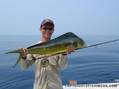 Mahi Mahi.jpg
