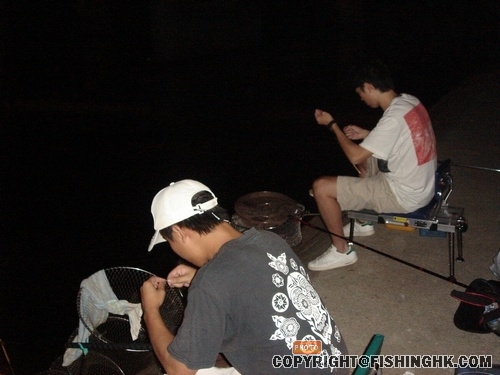 悠悠的晚風增添幾分寒意..........這便是每年的殘秋下........初 007.jpg