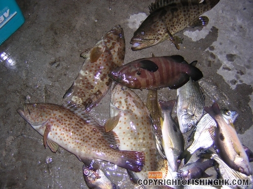 DSCN5208.JPG