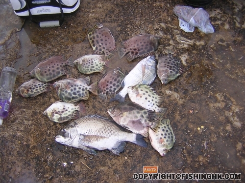 DSCN5239.JPG