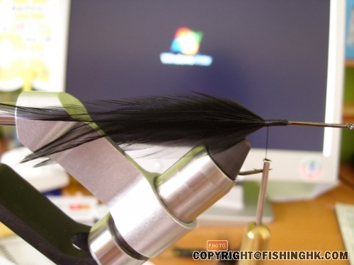 first, saddles hackle