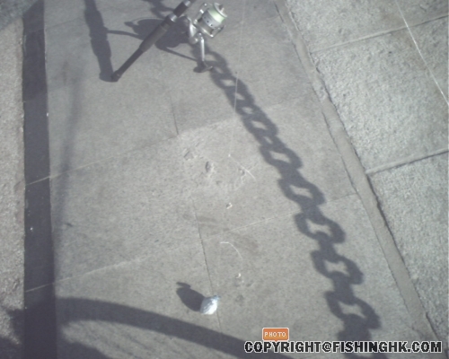 IMG0314A.jpg