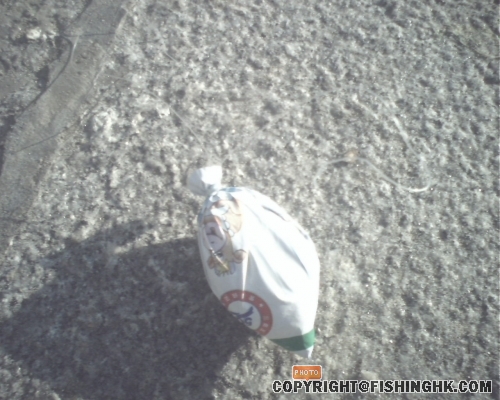 IMG0304A.jpg