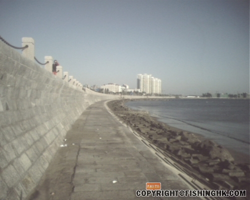 IMG0300A.jpg