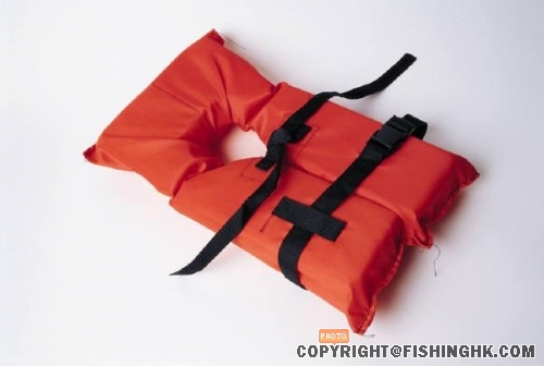 life_jacket.JPG