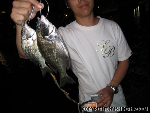 IMG_0886a.jpg