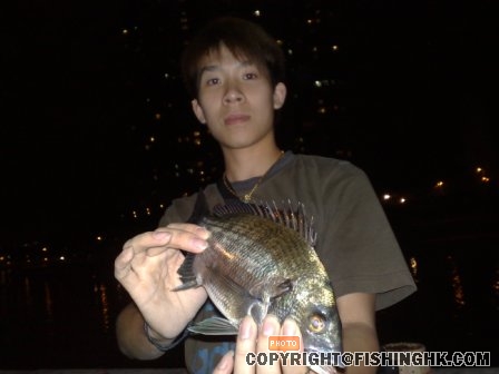 20081105229.jpg