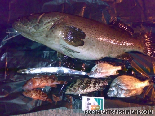 6.11將軍澳-夜釣.jpg