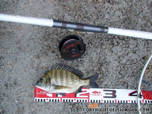 22cm.jpg