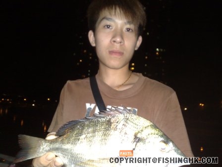 20081107246.jpg