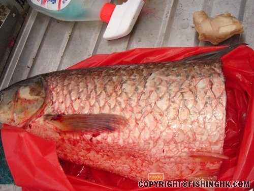 新釣場！一處的釣人樂鄉！臺釣的人間樂土！ 039.jpg