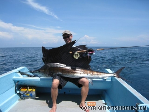 3rd Sailfish on fly.jpg